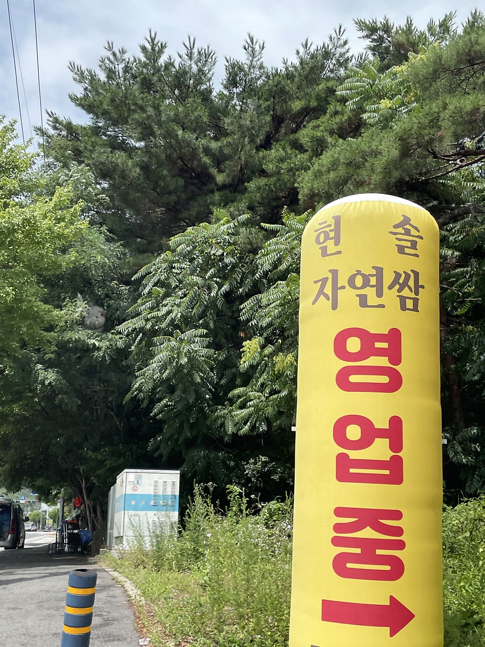 현솔자연쌈 사진 4