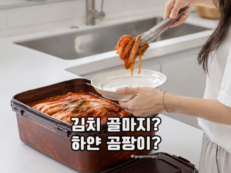 김치골마지 생겼다면 먹어도 될까? 김치하얀곰팡이와 차이점