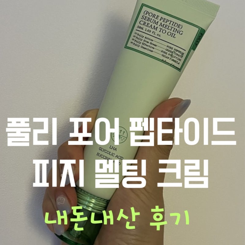 풀리 포어 펩타이드 피지 멜팅 크림 내돈내산 후기(피지필라멘트 vs 화이트헤드 vs 블랙헤드 ....