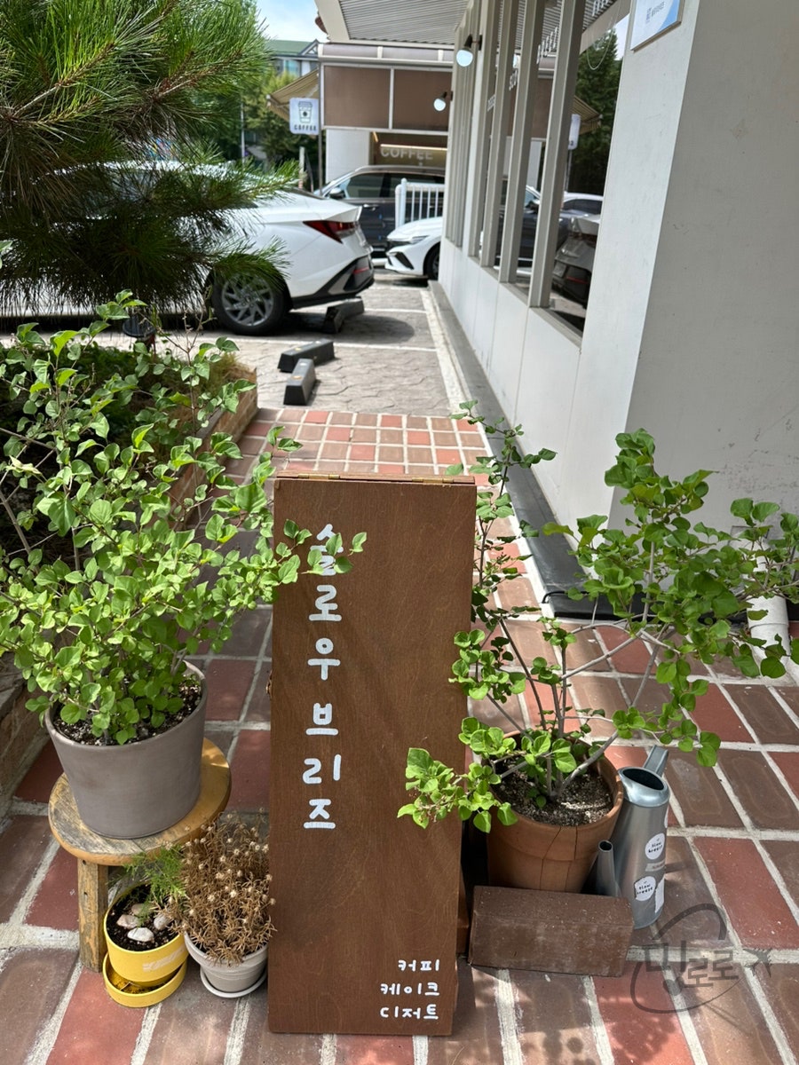 슬로우브리즈 사진 3