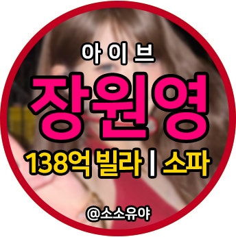 아이브 장원영 '억 소리나는 소파 브랜드' 한남동 집 빌라 어디 현금