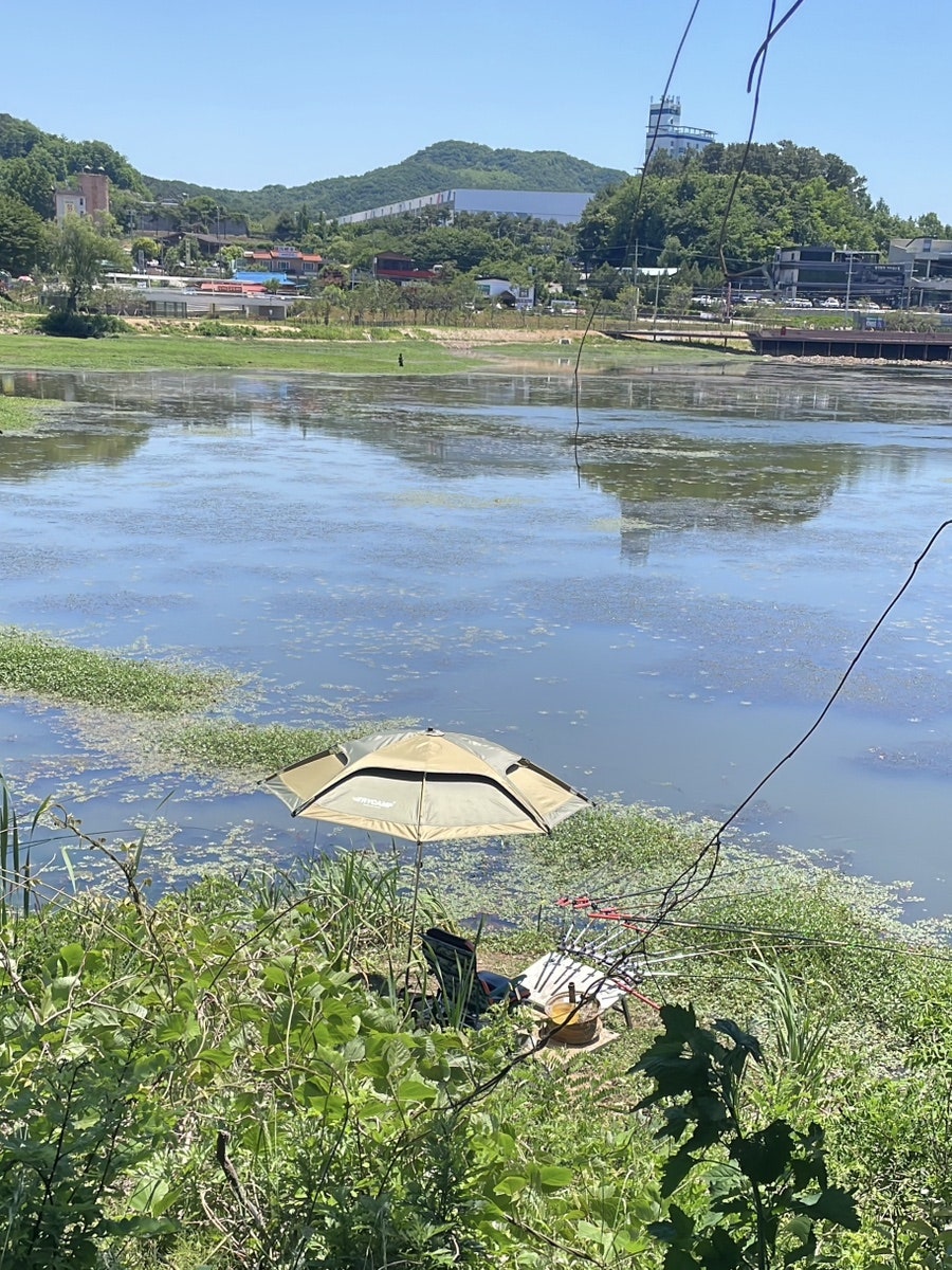 카페그리움 사진 4