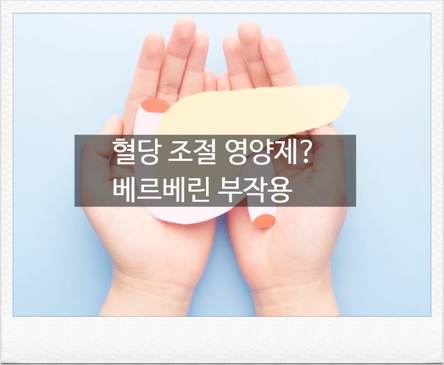 이거 하나로 혈당 조절이 가능하다고? 베르베린 효능부터 부작용, 식약처 기준과 주의사항