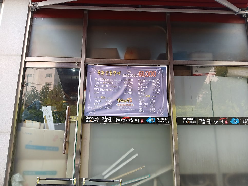 장군장어 사진 3