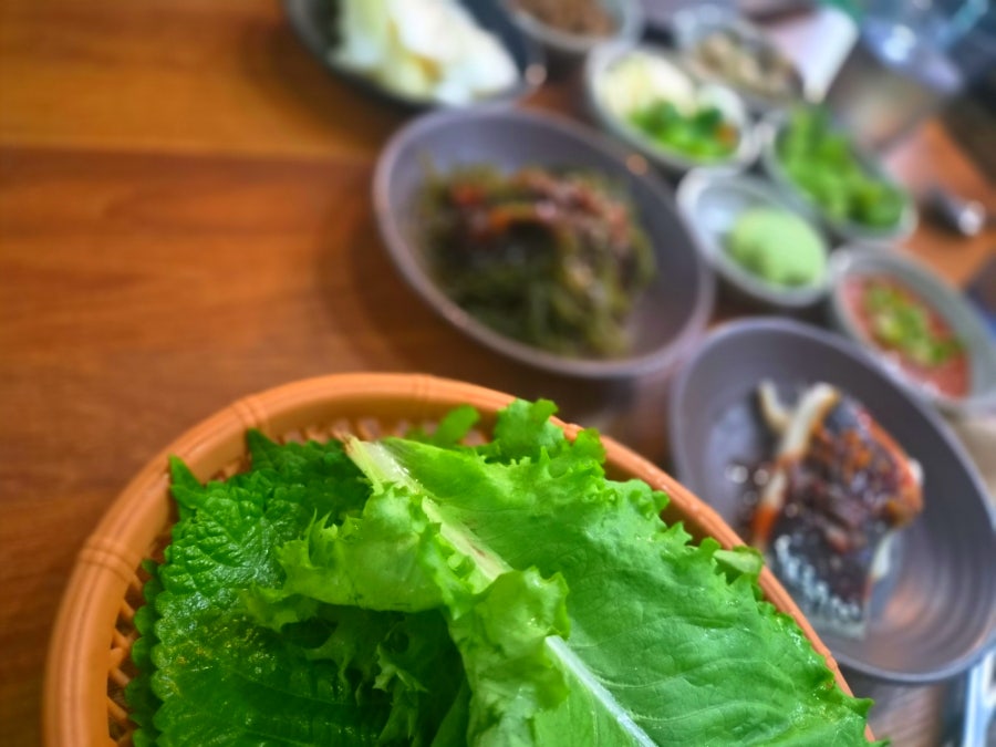 팔딱팔딱 사진 5