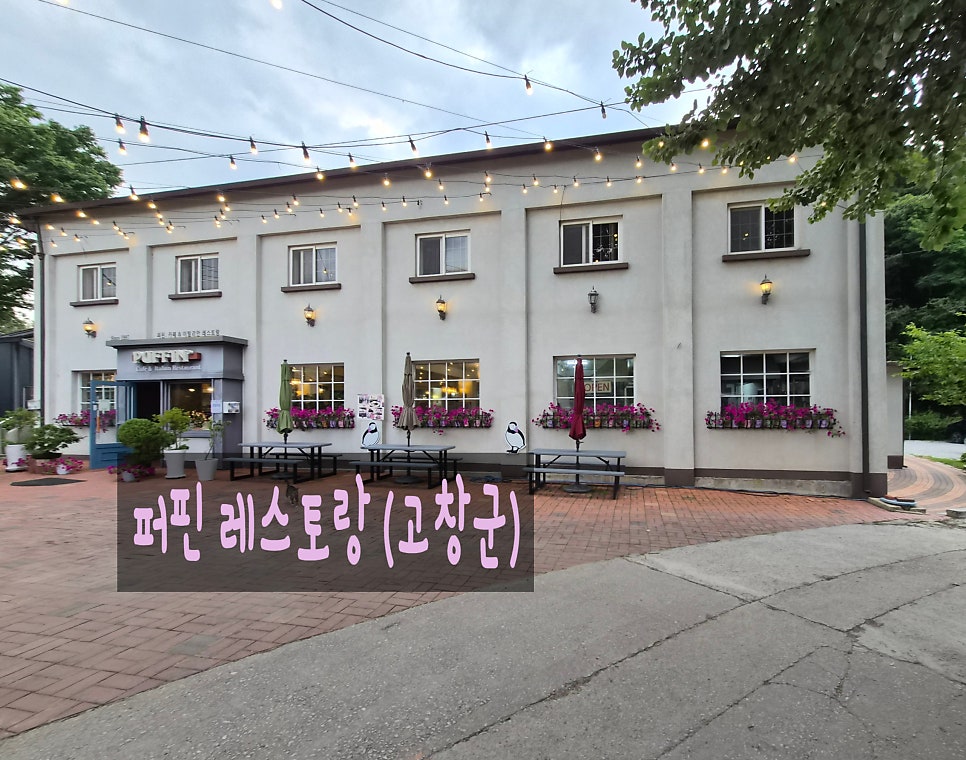 퍼핀 사진 1