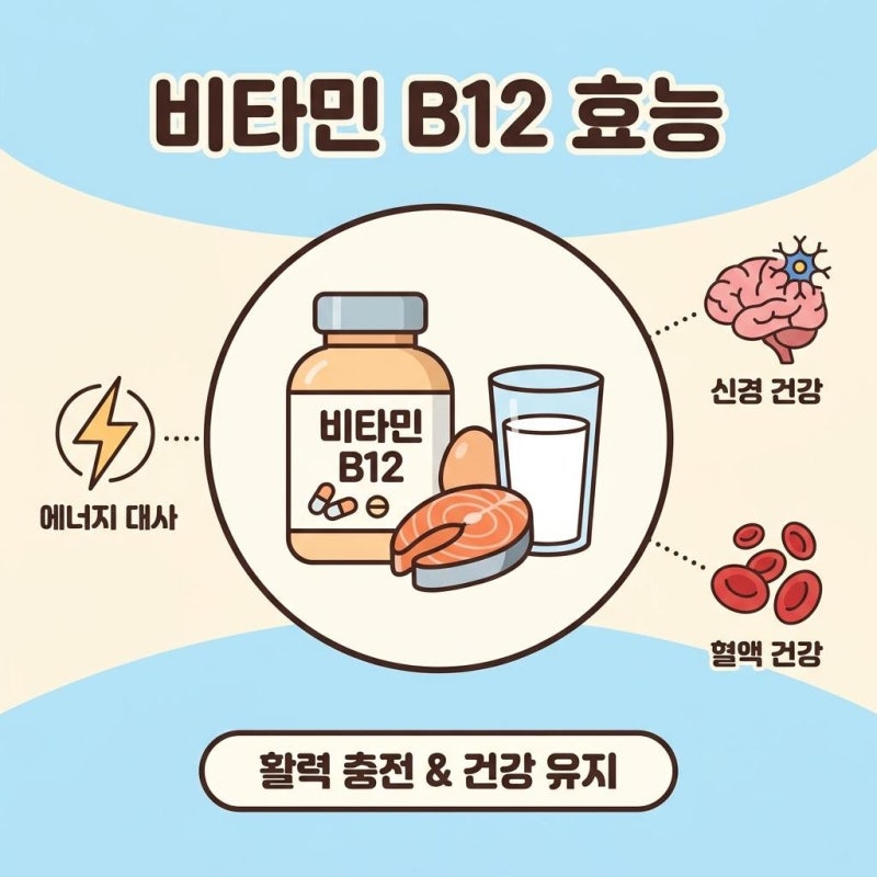 비타민 B12 효능과 안전한 섭취방법, 먹기 전 꼭 확인해야 할 점
