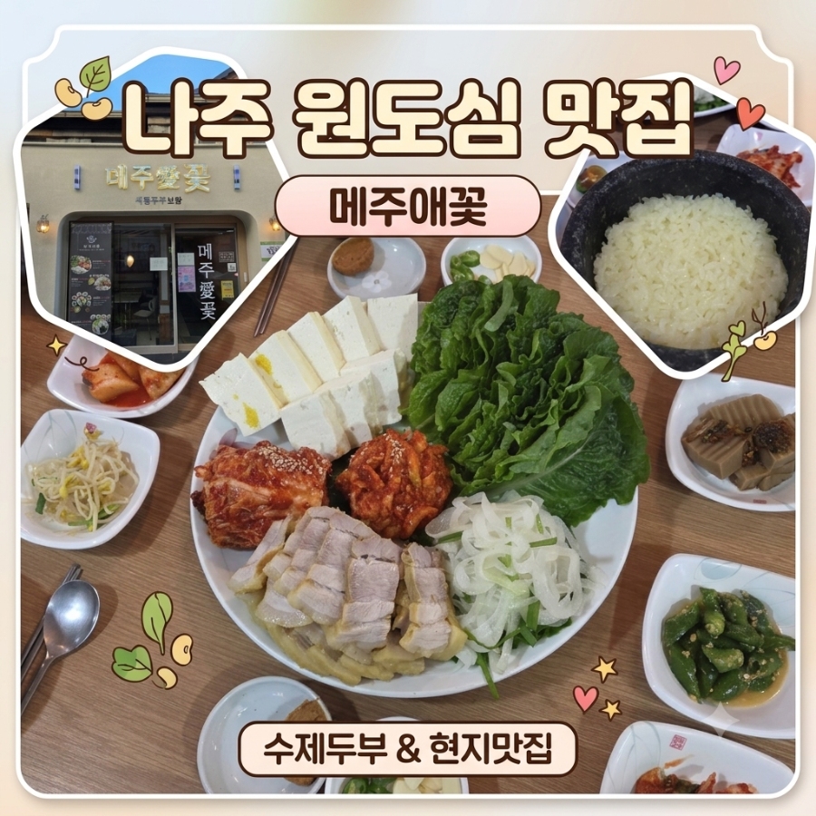 메주애꽃 사진 1