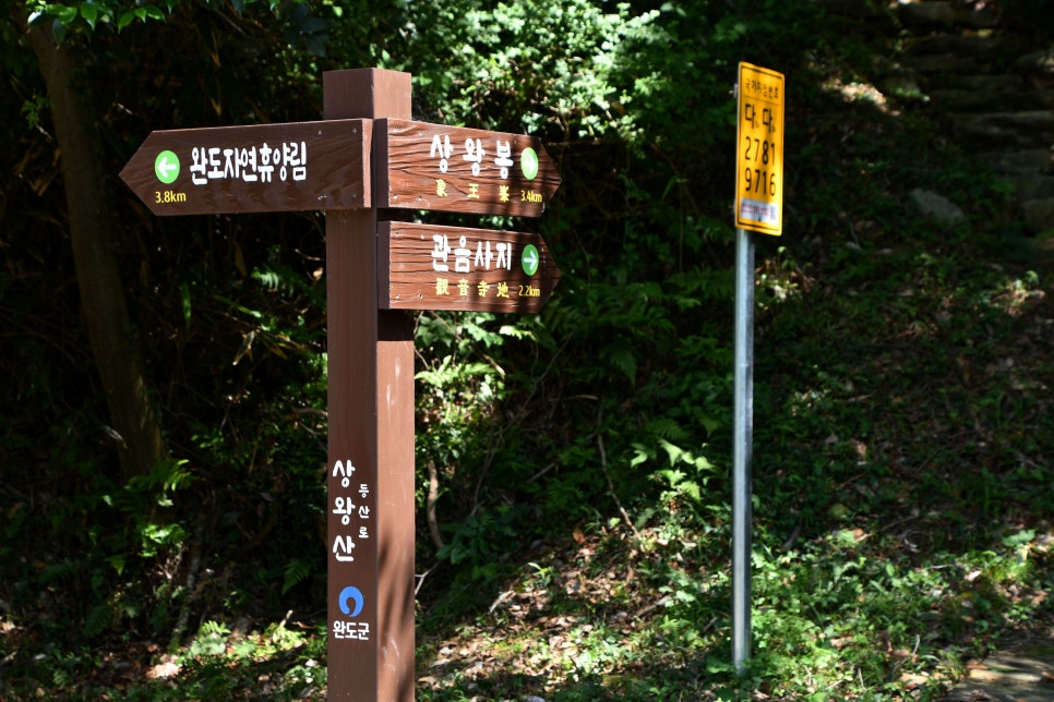 상왕산 사진 4