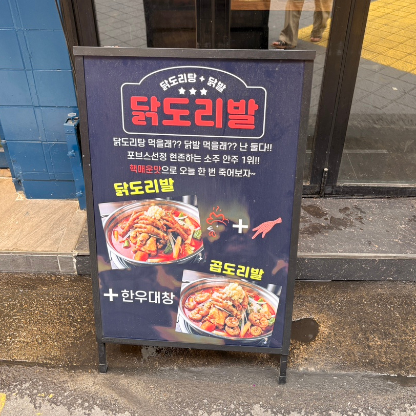 나는남자닭 사진 3