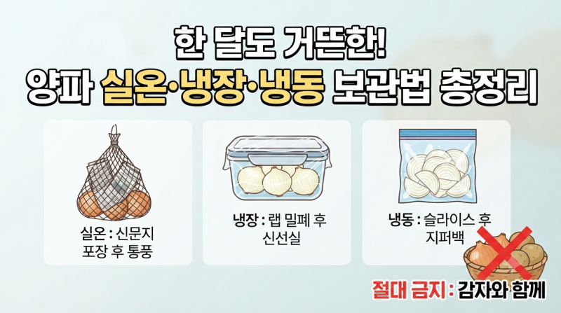 "망치기 쉬운 양파 저장법" 양파 한 망 사서 한 달 내내 단단하고 신선하게 보관하는 살림 공....