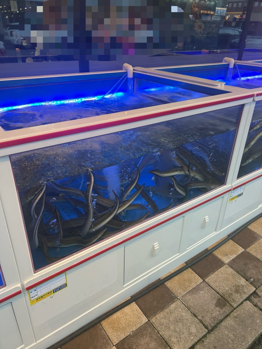 황금회포차 광주양산점 사진 5