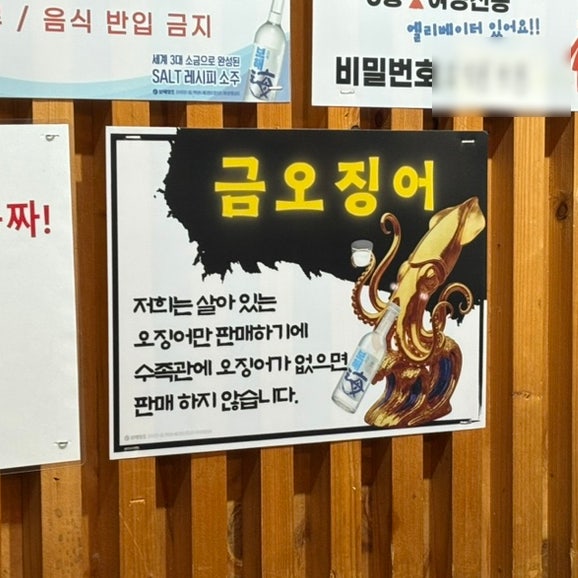 달빛오징어광어 본점 사진 3