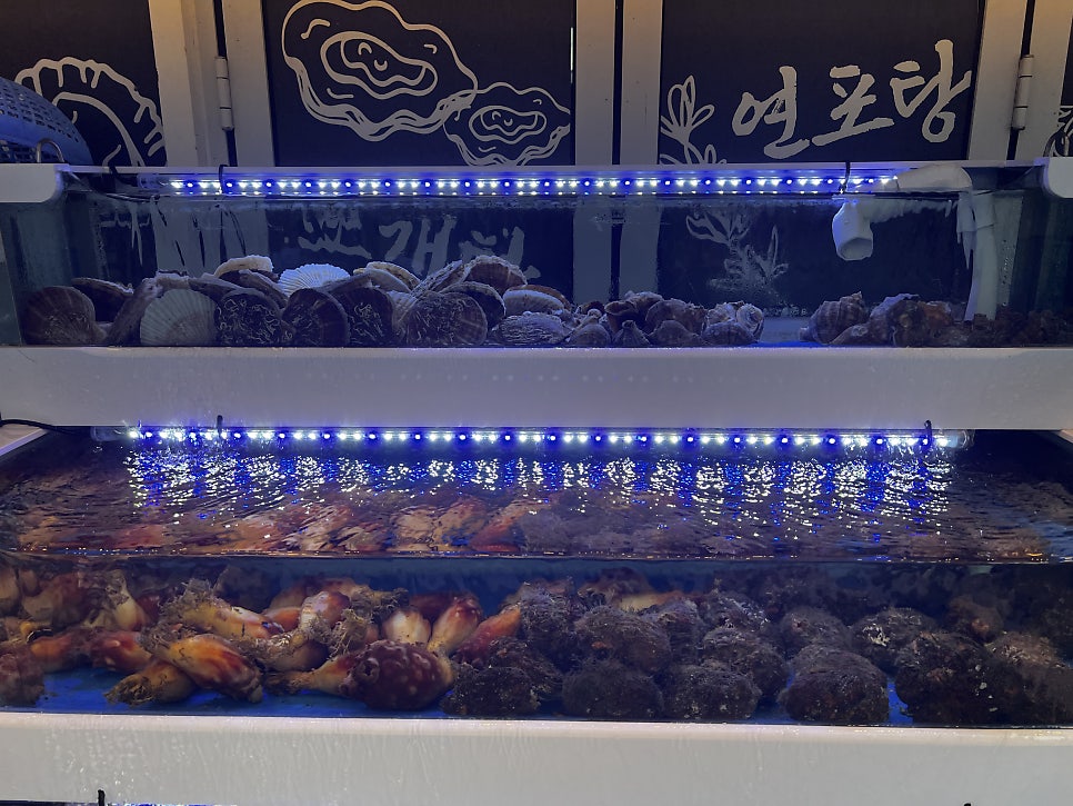막회집 사진 3