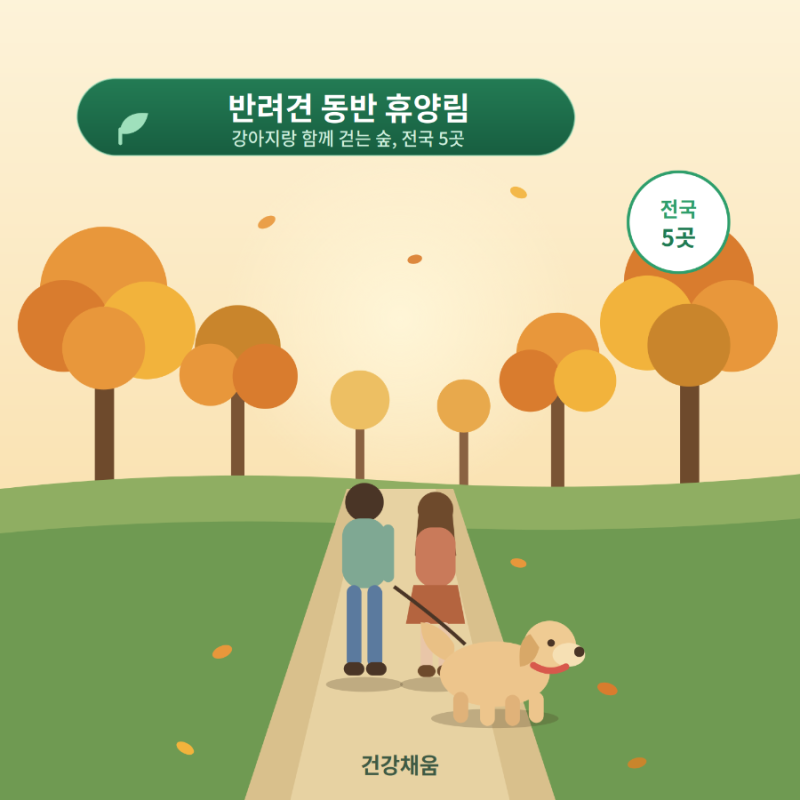 휴양림 14편 / 반려견 동반 자연휴양림 총정리 — 전국 5곳 비교 + 입장 기준·준비물