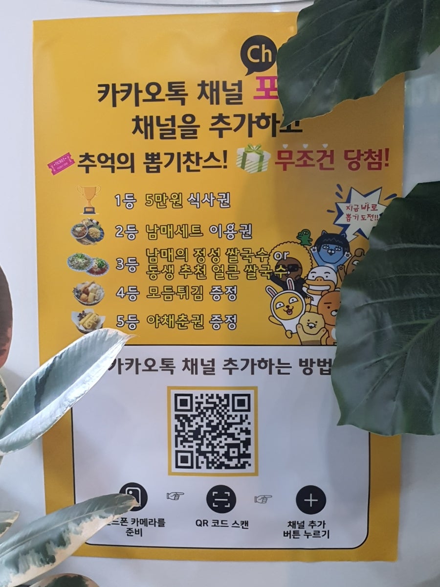 포위치 사진 6