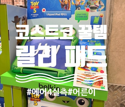코스트코 릴리패드 케이스, 아이패드 10 11만 된다고요? 에어4 에어5도 됩니다