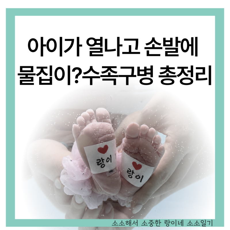 요즘 유행하는 수족구병 초기 증상 구내염 차이 회복기간 예방법까지 총정리