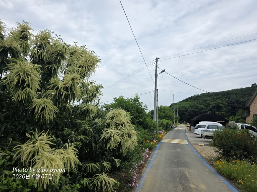 풍경 사진 5