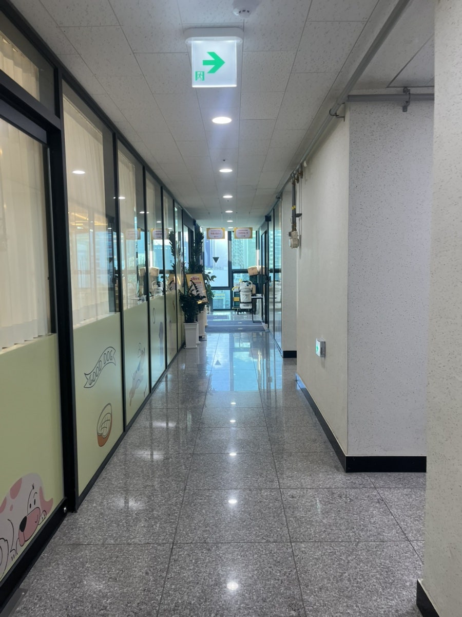 댕그르르 사진 3