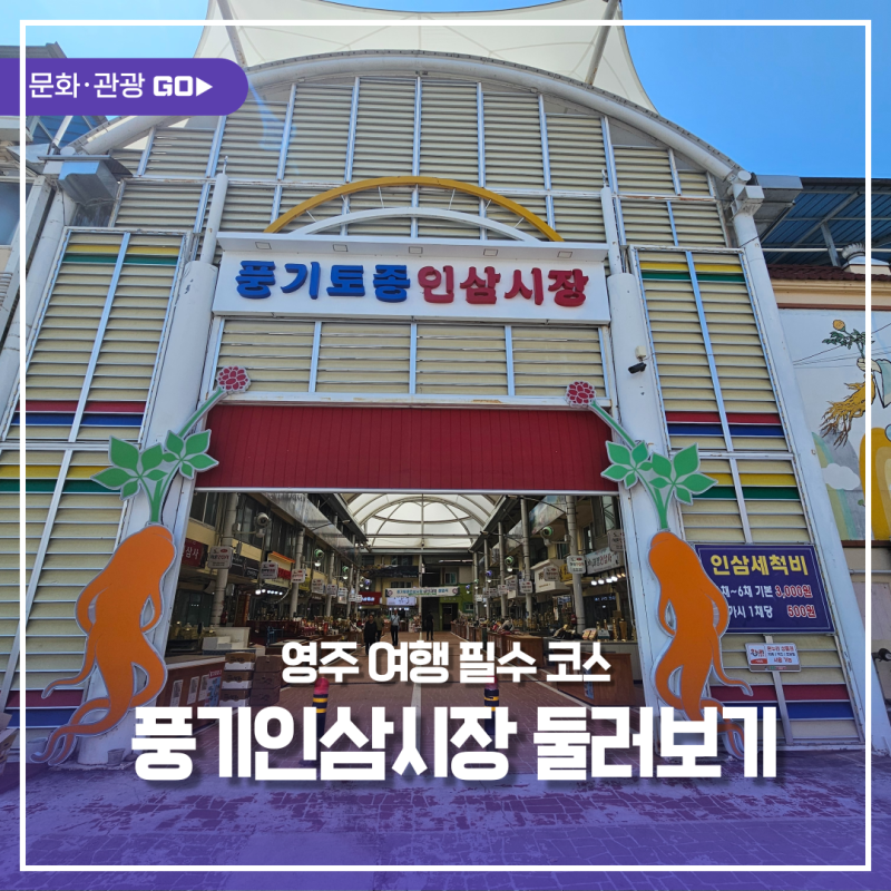영주 여행 필수 코스, 영주 풍기인삼시장 4곳 둘러보기