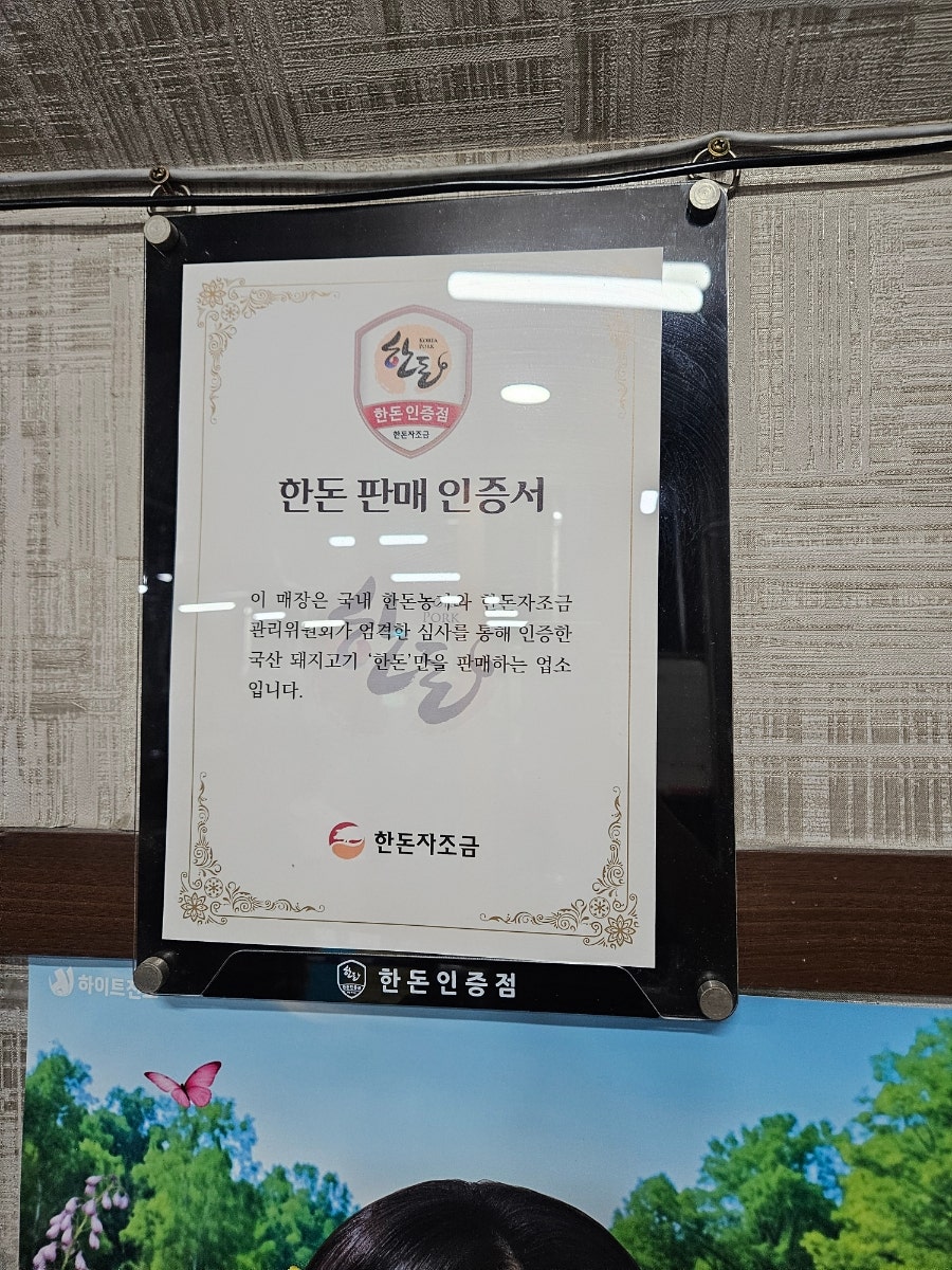 고집 사진 4
