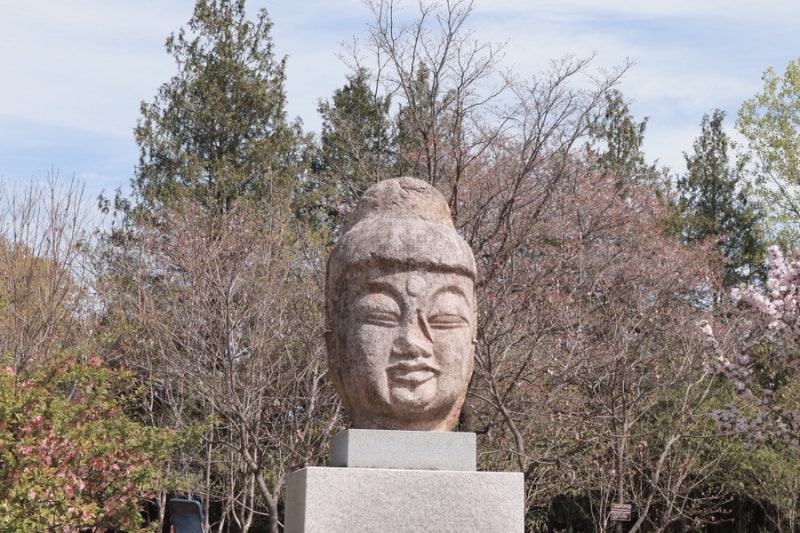 경주 국립중앙박물관 입장료 주차 포토스팟 꿀팁