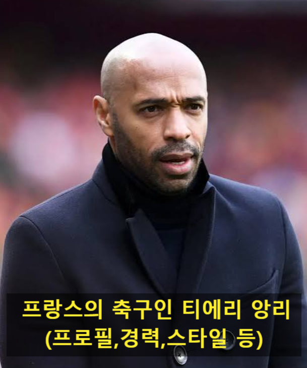 프랑스의 축구인 티에리 앙리(프로필,경력,스타일 등)
