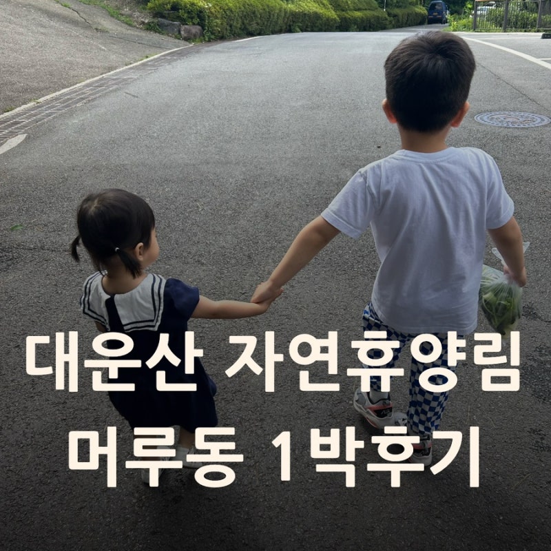대운산 자연휴양림 머루동 101호 후기｜부산 주변 가성비 가족여행 추천