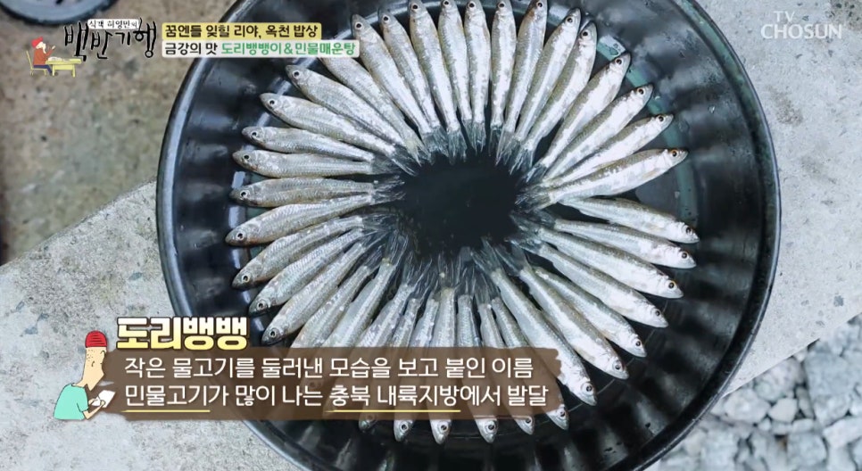옥천장금이맛집 사진 1