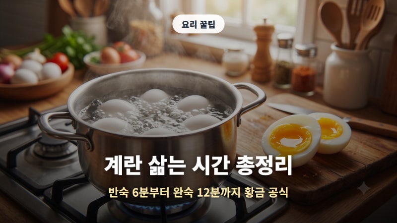 계란 삶는 시간 총정리, 반숙부터 완숙까지 실패 없는 황금 공식