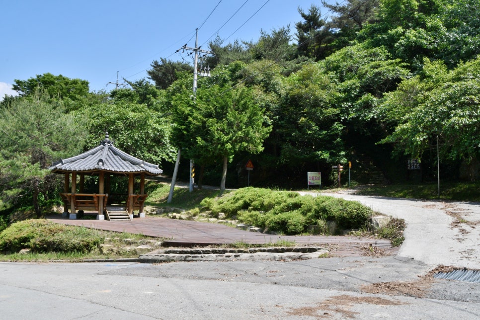 상왕산 사진 3