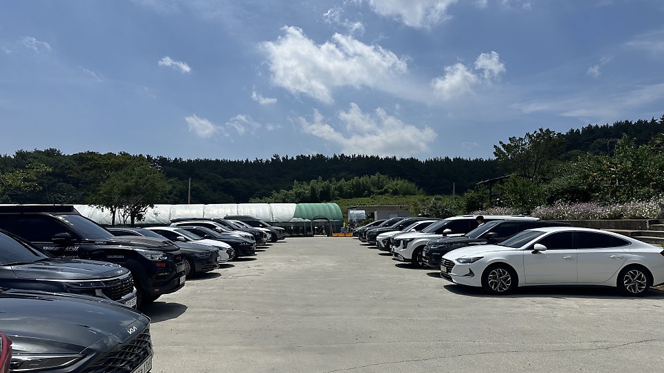 신두리해안 로드 사진 4
