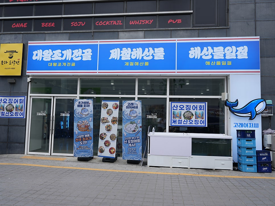 해삼 사진 2