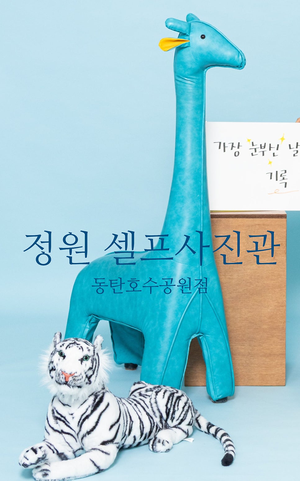 정원 사진 1