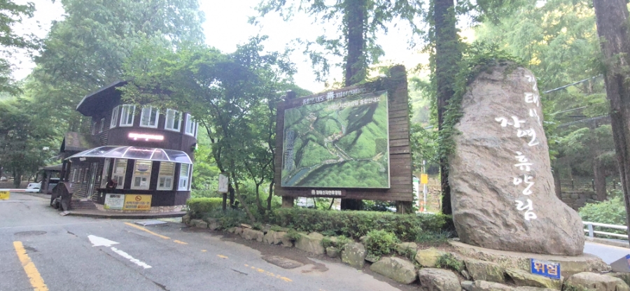 장태산 자연휴양림 야영장 사진 1