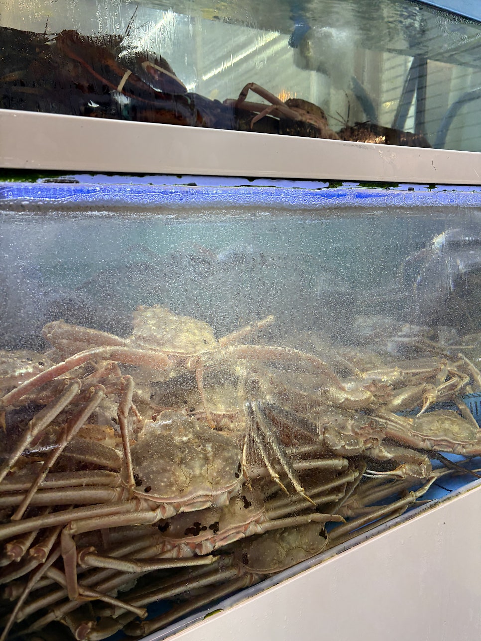 킹의전설 김포장기점 사진 3
