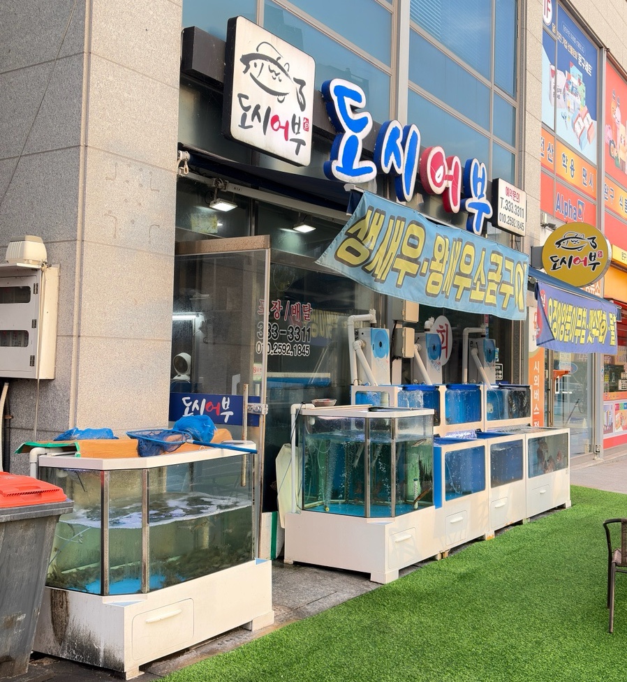 도시어부 사진 1