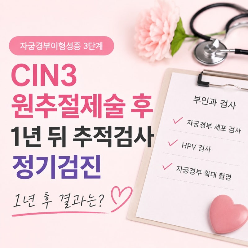 자궁경부이형성증 3단계 cin3 원추절제술 후 1년 뒤 추적검사 정기검진 완치 일까?