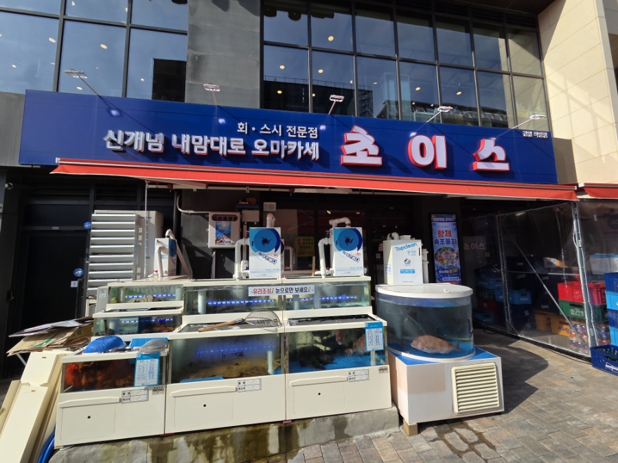 초이스 사진 3