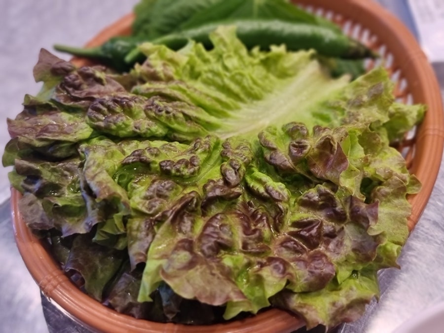 공주댁 사진 6