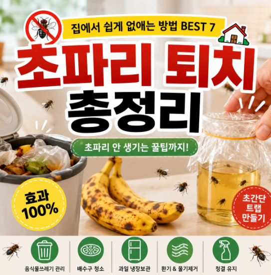 초파리 퇴치 방법 총정리｜집에서 초파리 없애는 가장 쉬운 방법