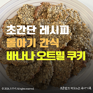 돌아기 간식 레시피｜설탕 없이 만드는 초간단 유아간식(바나나 오트밀 쿠키)
