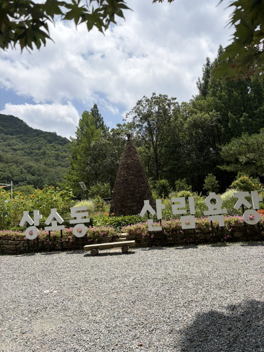 상소동산림욕장 사진 6