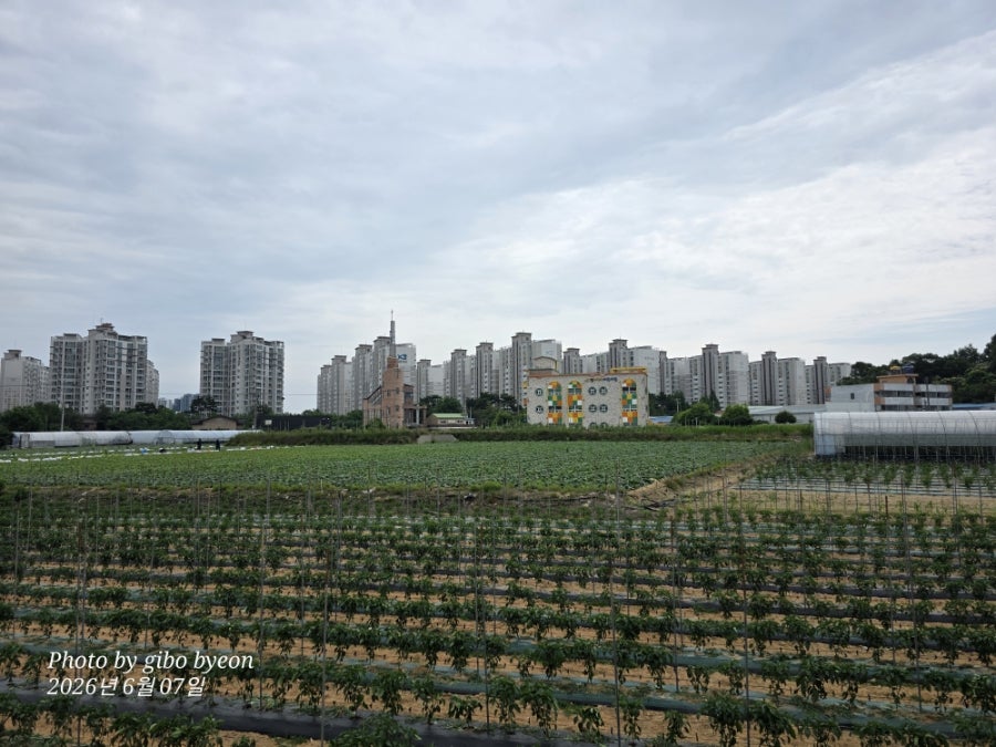 풍경 사진 2