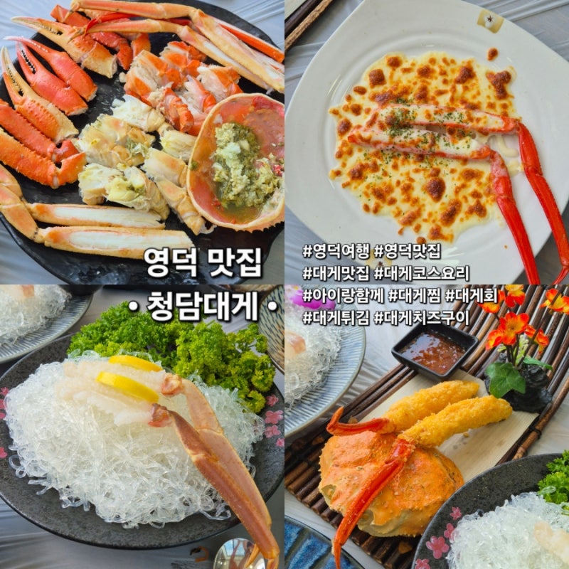 대게코스요리 추천 영덕대게 맛집 청담대게