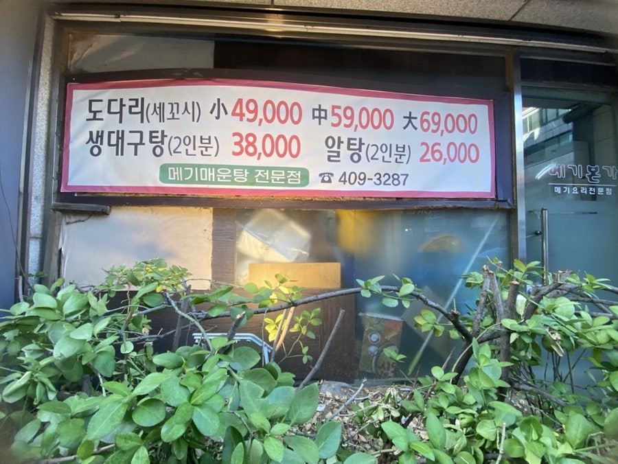 메기본가 사진 2