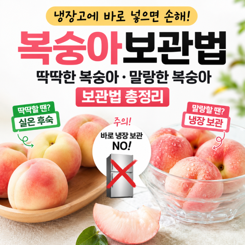 복숭아보관법, 냉장고에 바로 넣으면 손해! 딱딱한 복숭아·말랑한 복숭아 보관법 총정리