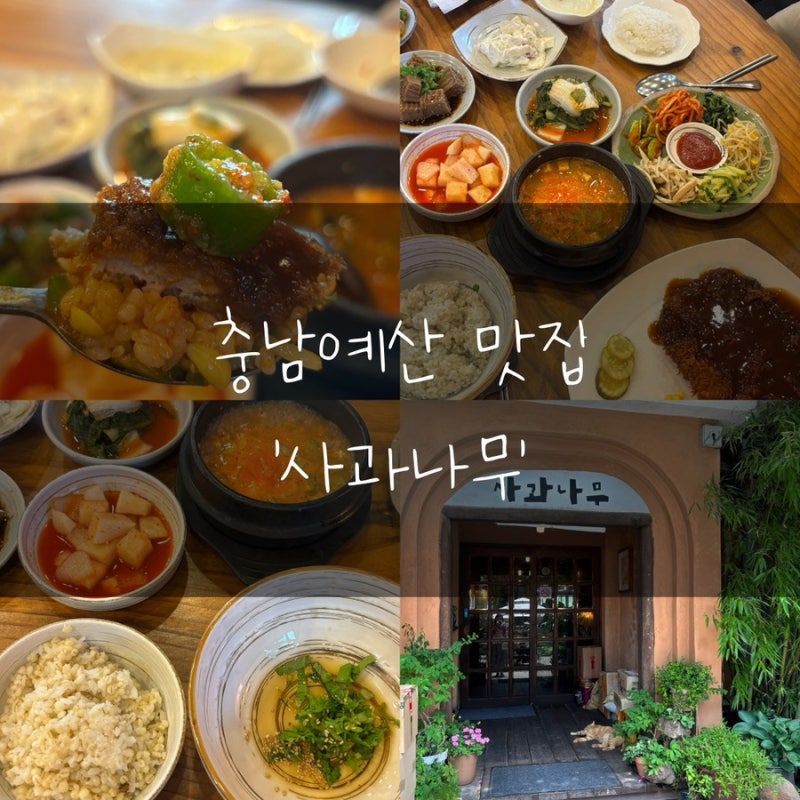 충남 예산 보리밥 돈까스 맛집 ‘사과나무’(주차, 메뉴판, 웨이팅, 위치)