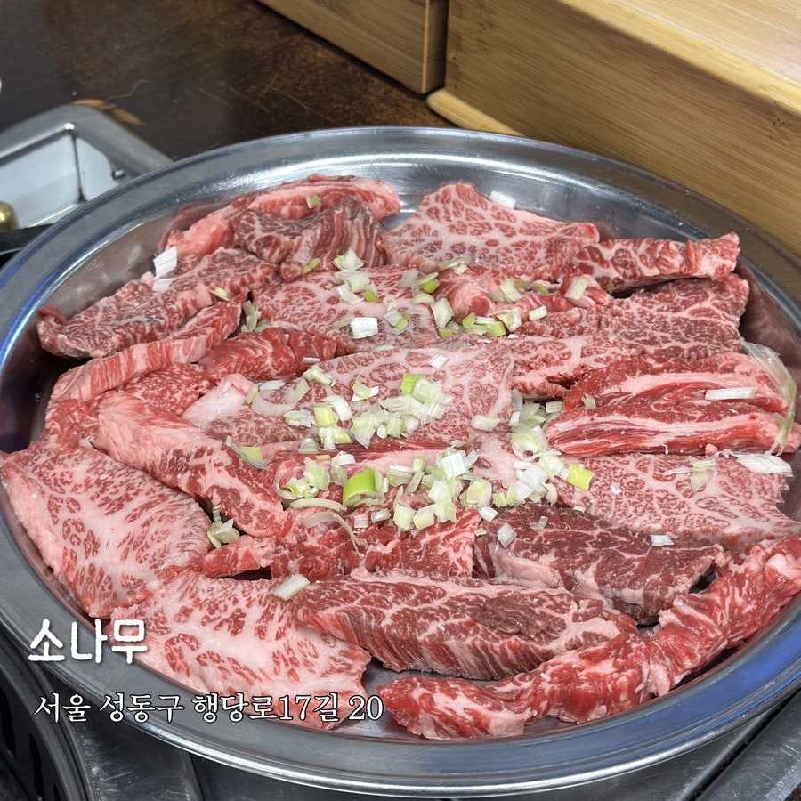 소나무 사진 1